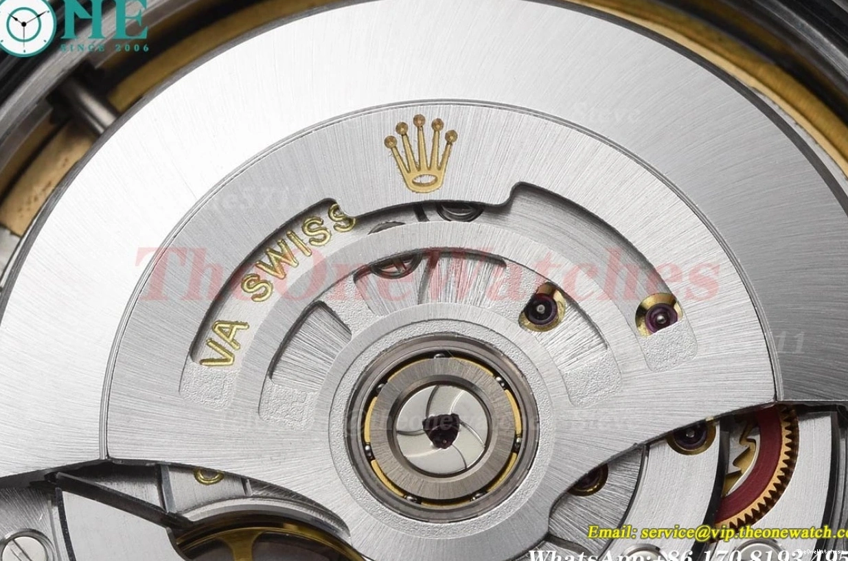 Black Explorer 40mm SS VS3230 224270 SS Dial VSF I 0129